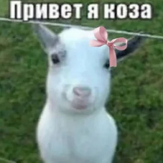Sticker from Неля