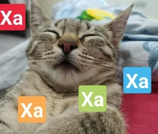 😂 emoji Стеша и другие VIP кошки Telegram sticker 14 of 52