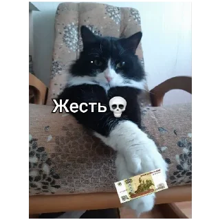 🍔 emoji Треш Telegram sticker 7 of 30