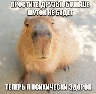 🙂 emoji ебать пикчи \\ @polnikii Telegram sticker 20 of 35