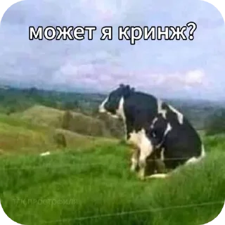 🐄 emoji Жизненные котики Telegram sticker 11 of 53