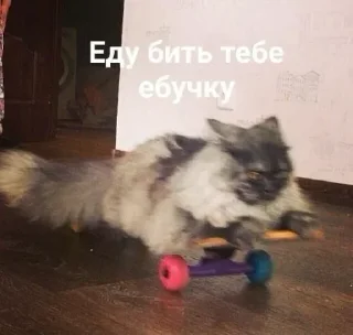 😵 emoji Жиза Telegram sticker 22 of 87
