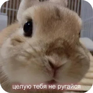 😘 emoji Жиза Telegram sticker 11 of 87