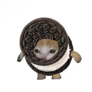 🍪 emoji грустный кот Telegram sticker 19 of 44
