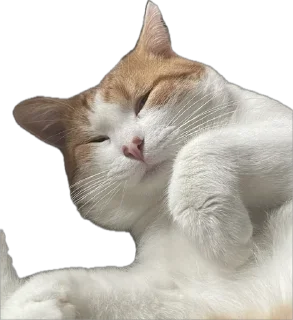 🌟 emoji Вазамат 2.0 Telegram sticker 7 of 58