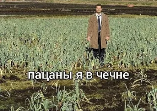 🤗 emoji хихи да хаха Telegram sticker 9 of 120