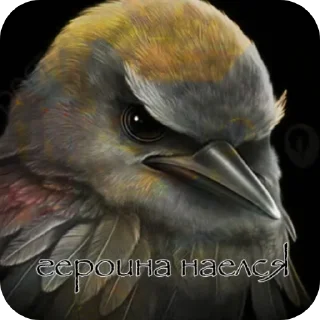 🐦 emoji Те самые стикеры без краша Telegram sticker 11 of 20