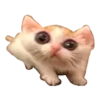 Sticker from без према жись не та