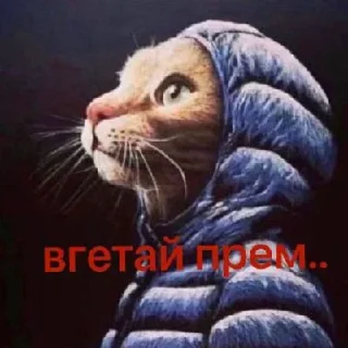 🤩 emoji ЛУЧШИЙ СКУП НФТ - @grizihui Telegram sticker 5 of 40