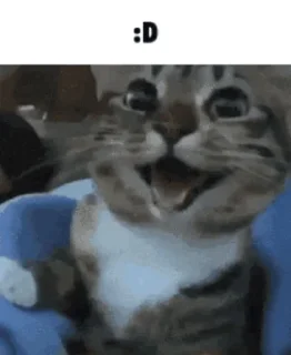 😃 emoji стикеры в повседневной жизни Telegram sticker 6 of 26