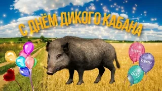 🐗 emoji С днем 2 ... Telegram sticker 13 of 53