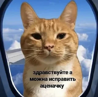 🥸 emoji с днем студента Telegram sticker 7 of 116
