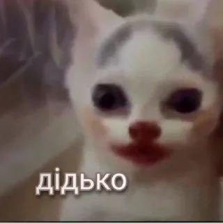 🤯 emoji @slavaukraini01 з днем незалежності Telegram sticker 8 of 43