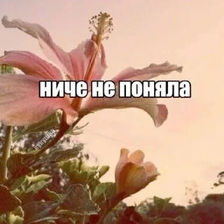 ☺️ emoji эзотерик бимбо кор Telegram sticker 10 of 120