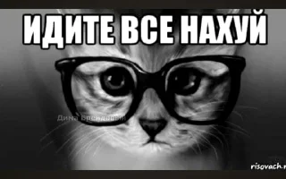 🌟 emoji Мать ебал Telegram sticker 24 of 78