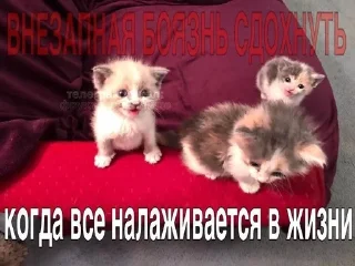 😒 emoji стики от @fruktokhranilishte Telegram sticker 14 of 114