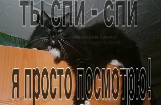 😇 emoji стики от @fruktokhranilishte Telegram sticker 16 of 114