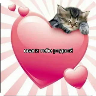 🌟 emoji хуеглотка228 Telegram sticker 13 of 29