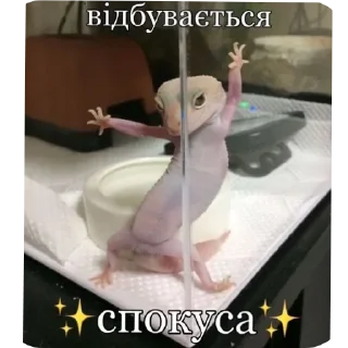 🌟 emoji Для справжніх чоловіків @Xenta Telegram sticker 21 of 75