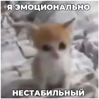 🥺 emoji Ватафак Telegram sticker 16 of 17