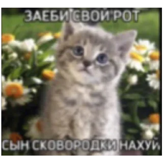 🤗 emoji Ватафак Telegram sticker 7 of 17