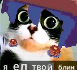 🌟 emoji Нико ваншот от @Fixgamez Telegram sticker 24 of 78