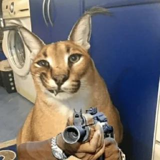 🔫 emoji Шлепа Telegram sticker 15 of 20