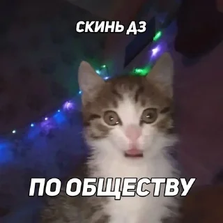 ⚖️ emoji Скинь дз Telegram sticker 16 of 18