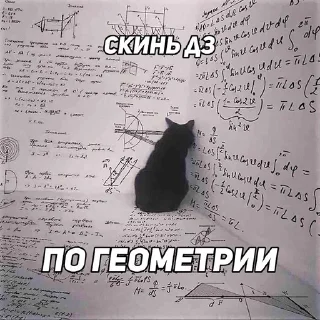 ⚰️ emoji Скинь дз Telegram sticker 8 of 18