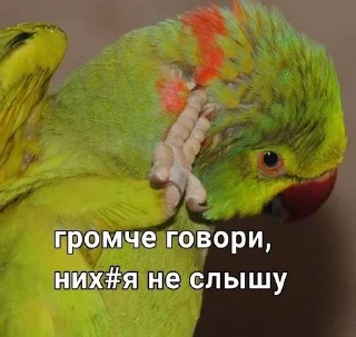 Sticker from Попуги