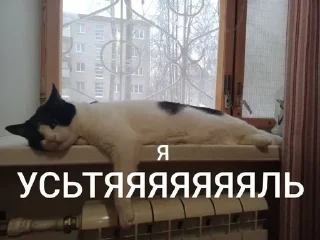 🌟 emoji Максик Telegram sticker 11 of 47