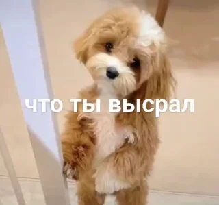 🤢 emoji не воровать @tr33sha Telegram sticker 8 of 49