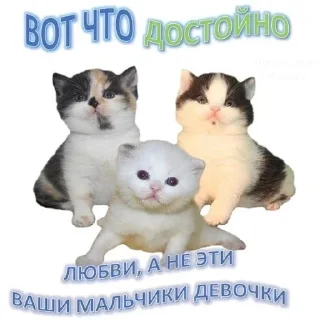 🧠 emoji кыся пыся Telegram sticker 16 of 52