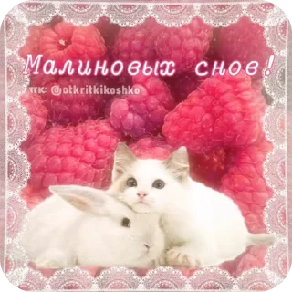🌟 emoji http://t.me/addstickers/Goodni Telegram sticker 22 of 78