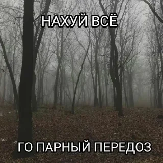 ❤️ emoji соня рофлит Telegram sticker 22 of 97