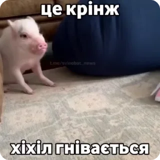😡 emoji рандом3 @shashluchokstickers Telegram sticker 5 of 45