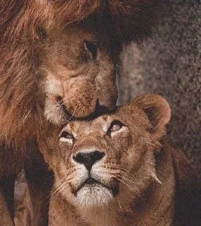 💋 emoji обнимашки Telegram sticker 5 of 84