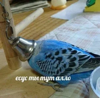 🙏 emoji Кринж Telegram sticker 9 of 114