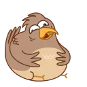 Sticker from Sharp-eyed Falcon
