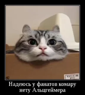 🌟 emoji Менди кенди ееее Telegram sticker 17 of 79