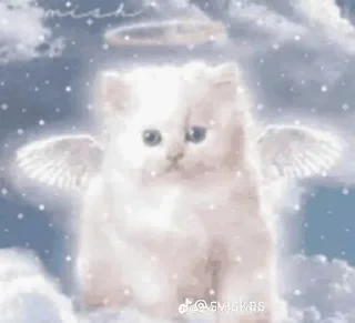 🌟 emoji Кот ангел Telegram sticker 18 of 55
