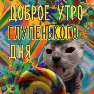 🤪 emoji спок нок Telegram sticker 17 of 50