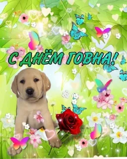 Sticker from Поздравляю