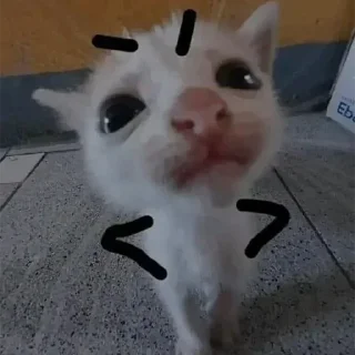 😡 emoji Окак Telegram sticker 9 of 120
