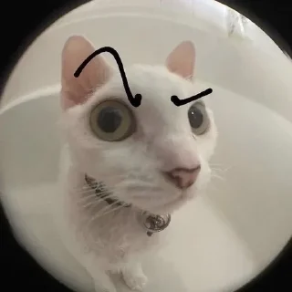 🤨 emoji Окак Telegram sticker 7 of 120