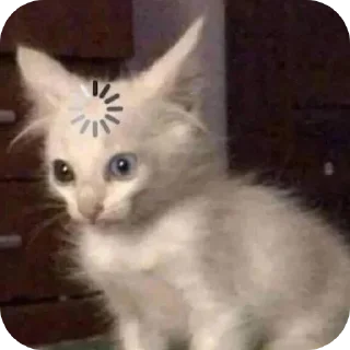 🐱 emoji Domikvderevne Telegram sticker 14 of 78