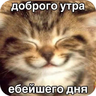 Sticker from Domikvderevne