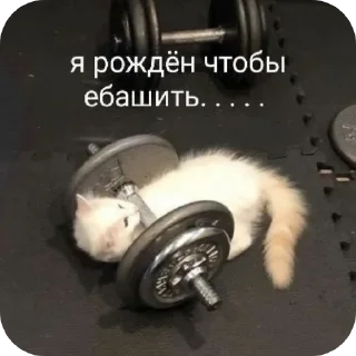 🎡 emoji Domikvderevne Telegram sticker 17 of 78