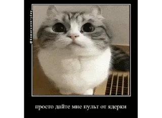 🥺 emoji Комарики, го в t.me/komarustic Telegram sticker 17 of 47