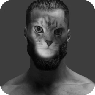 🫥 emoji васян умер в авиакатастрофе 2026 году с артистом oliver tree Telegram sticker 17 of 65
